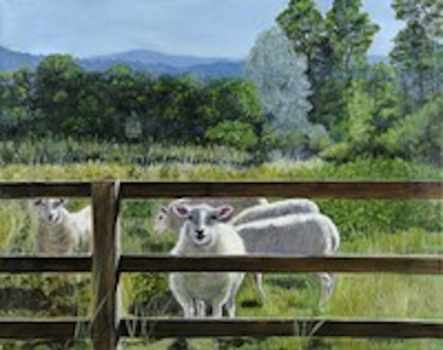 Painting of sheep near fence in a field in Thirsk, England