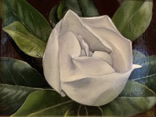 FirstBlossom.jpg