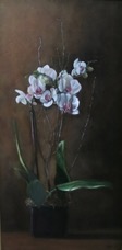 OrchidInBlackPot.jpg