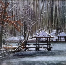 LakeElkhornInWinter.jpeg