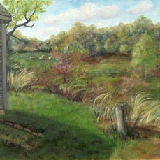 TheConservancy-FieldsBeyondTheBarn.jpeg