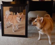 BuddyAndPortrait.jpeg
