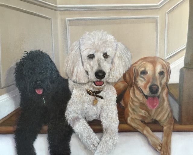 Lady, Toby, and Max