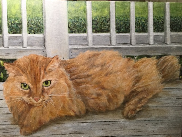Oliver the Cat