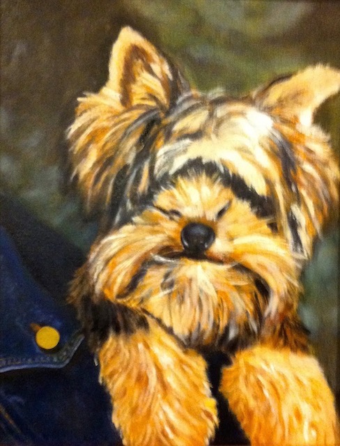 Oliver the Dog